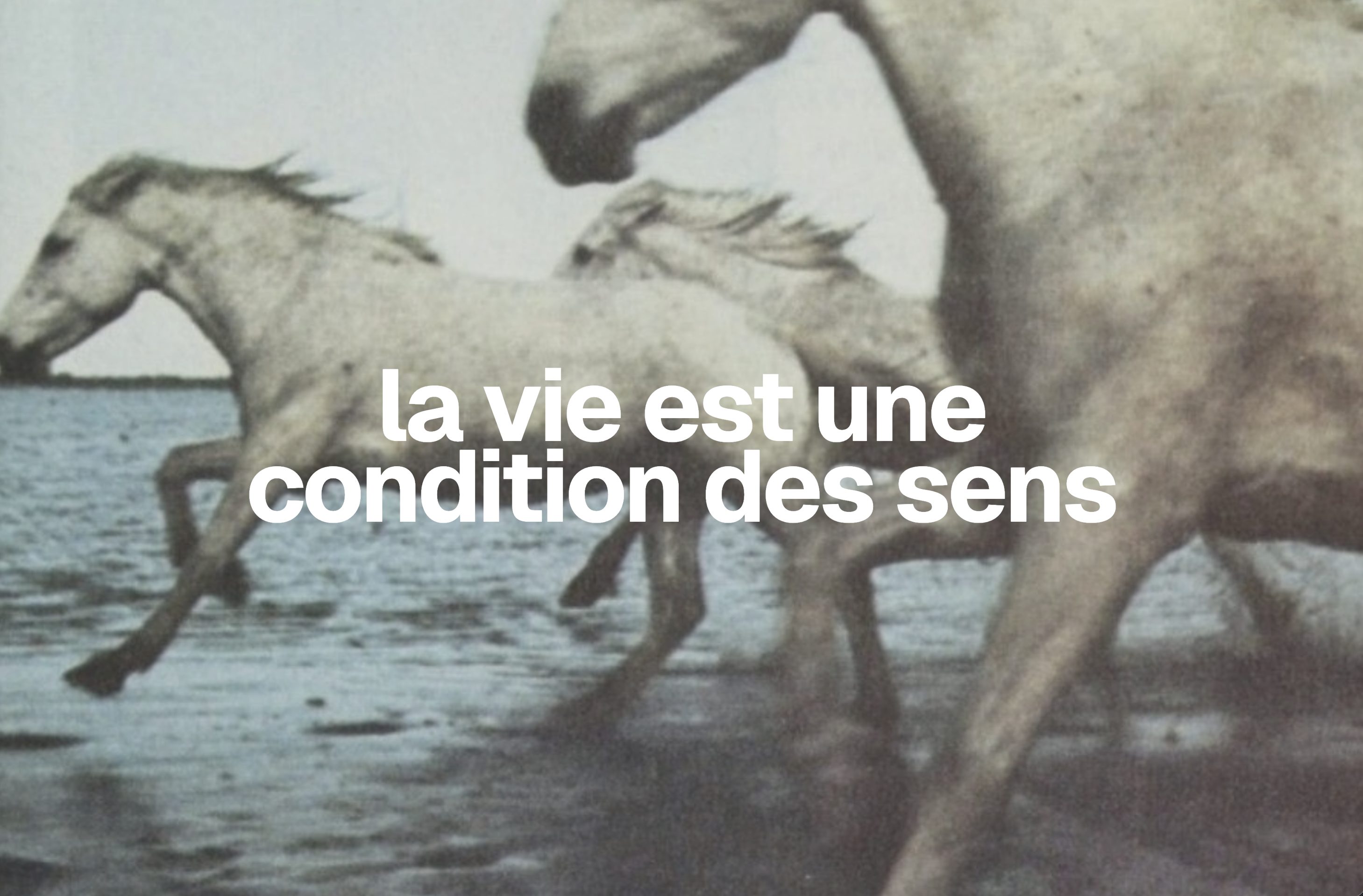 Des Sens - la vie est une condition des sens